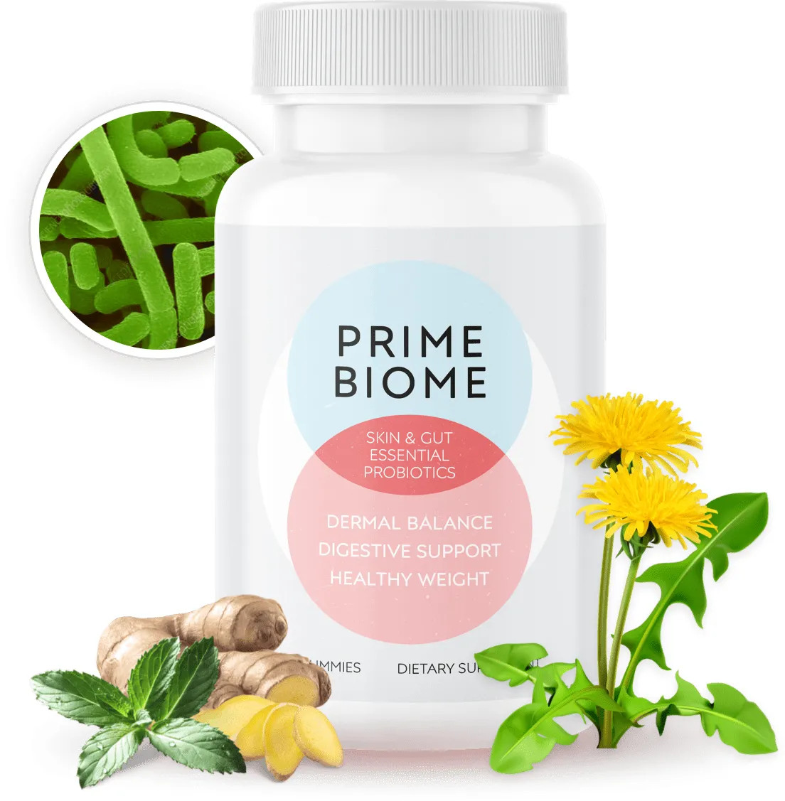 PrimeBiome-official